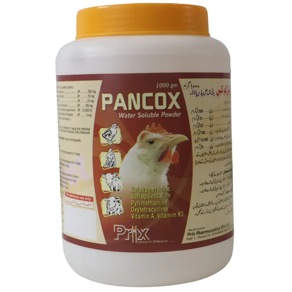 Pancox