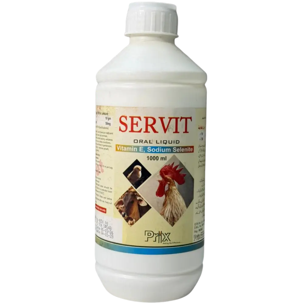 Servit
